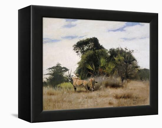 Gemsbok Oryx, 1891-Wilhelm Kuhnert-Framed Premier Image Canvas