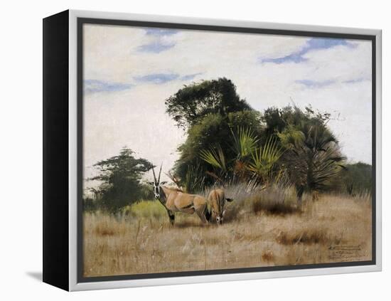 Gemsbok Oryx, 1891-Wilhelm Kuhnert-Framed Premier Image Canvas