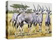 Stretched Canvas Print