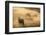 Gemsbok (Oryx gazella), Kgalagadi Transfrontier Park, South Africa, Africa-Ann and Steve Toon-Framed Photographic Print