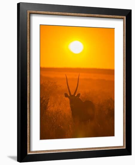 Gemsbok (Oryx Gazella) Silhouetted At Dawn, Kalahari Desert, Botswana-Juan Carlos Munoz-Framed Photographic Print