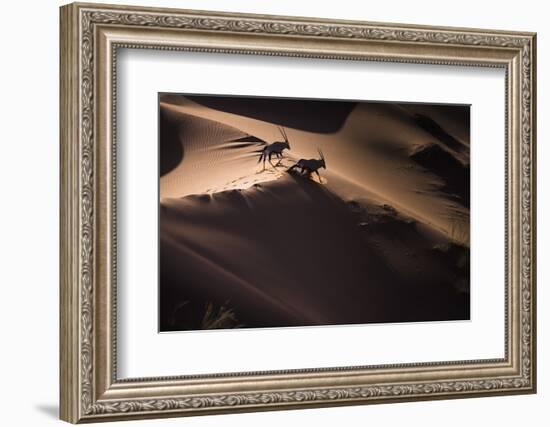 Gemsbok (Oryx Gazella) Two Walking across Sand Dunes, Aerial View. Namibia-Wim van den Heever-Framed Photographic Print