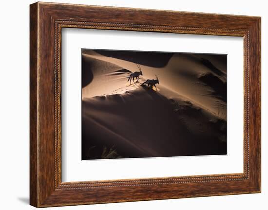 Gemsbok (Oryx Gazella) Two Walking across Sand Dunes, Aerial View. Namibia-Wim van den Heever-Framed Photographic Print