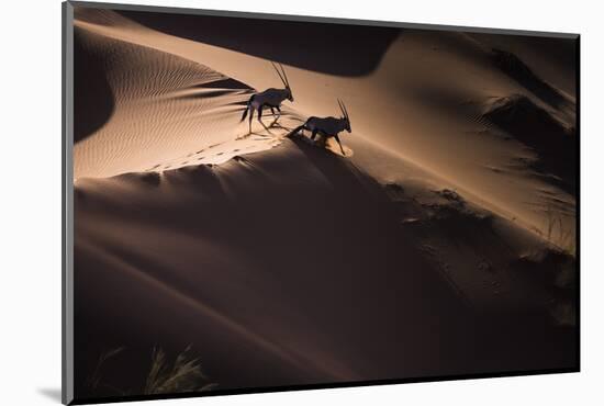 Gemsbok (Oryx Gazella) Two Walking across Sand Dunes, Aerial View. Namibia-Wim van den Heever-Mounted Photographic Print