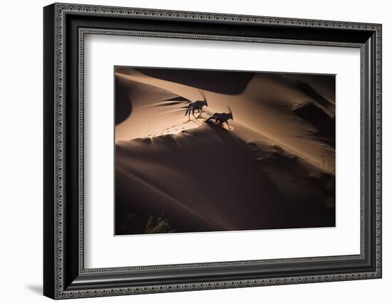 Gemsbok (Oryx Gazella) Two Walking across Sand Dunes, Aerial View. Namibia-Wim van den Heever-Framed Photographic Print