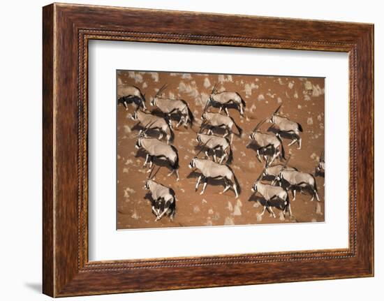 Gemsbok (Oryx Gazella) Viewed from Above, Namib Desert, Namibia-Wim van den Heever-Framed Photographic Print