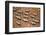 Gemsbok (Oryx Gazella) Viewed from Above, Namib Desert, Namibia-Wim van den Heever-Framed Photographic Print