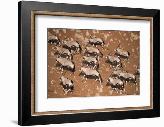 Gemsbok (Oryx Gazella) Viewed from Above, Namib Desert, Namibia-Wim van den Heever-Framed Photographic Print