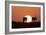 Gemsbok Silhouette at Sunset-null-Framed Photographic Print