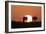 Gemsbok Silhouette at Sunset-null-Framed Photographic Print