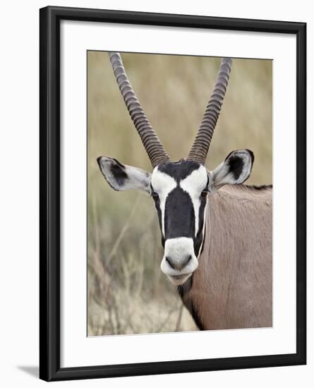 Gemsbok (South African Oryx) (Oryx Gazella), Kgalagadi Transfrontier Park, Encompassing the Former -James Hager-Framed Photographic Print