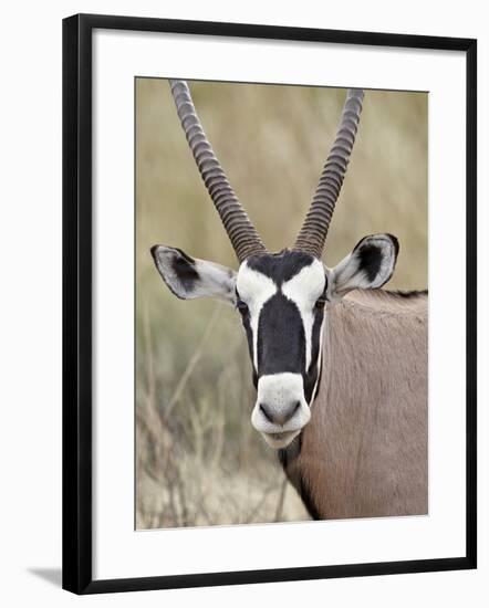 Gemsbok (South African Oryx) (Oryx Gazella), Kgalagadi Transfrontier Park, Encompassing the Former -James Hager-Framed Photographic Print