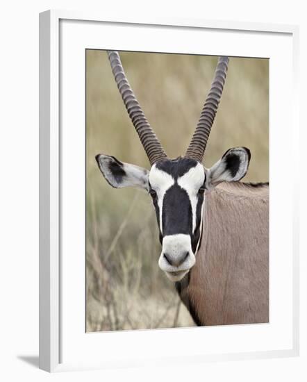 Gemsbok (South African Oryx) (Oryx Gazella), Kgalagadi Transfrontier Park, Encompassing the Former -James Hager-Framed Photographic Print