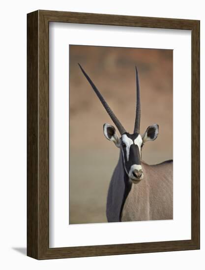 Gemsbok (South African Oryx) (Oryx Gazella)-James Hager-Framed Photographic Print