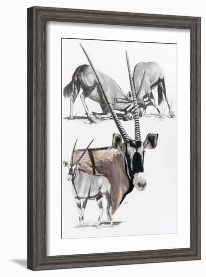 Gemsbok-Barbara Keith-Framed Giclee Print