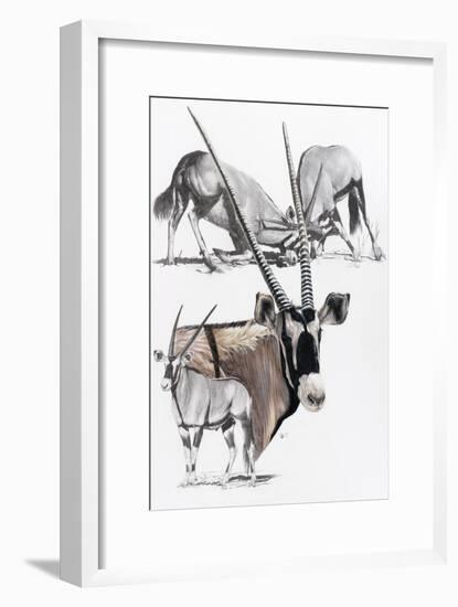 Gemsbok-Barbara Keith-Framed Giclee Print