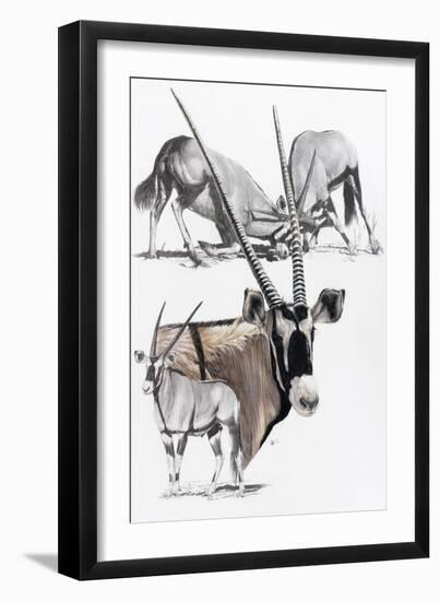 Gemsbok-Barbara Keith-Framed Giclee Print