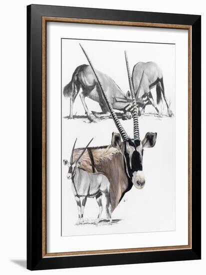 Gemsbok-Barbara Keith-Framed Giclee Print