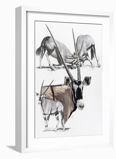 Gemsbok-Barbara Keith-Framed Giclee Print