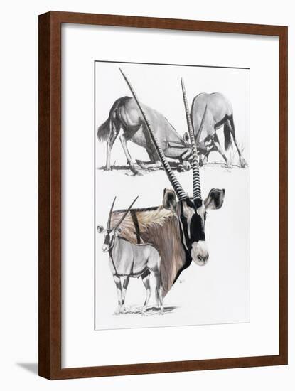 Gemsbok-Barbara Keith-Framed Giclee Print