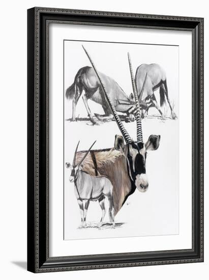 Gemsbok-Barbara Keith-Framed Giclee Print