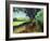 Gendron-Pol Ledent-Framed Art Print