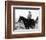 Gene Autry-null-Framed Photo