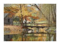 Golden Flow-Gene Mcinerney-Framed Art Print