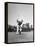 Gene Sarazen in Swinging Motion-Robert W^ Kelley-Framed Premier Image Canvas