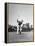 Gene Sarazen in Swinging Motion-Robert W^ Kelley-Framed Premier Image Canvas