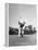 Gene Sarazen in Swinging Motion-Robert W^ Kelley-Framed Premier Image Canvas