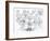 Genealogical Tree of the Rougon-Macquart Family-French School-Framed Giclee Print