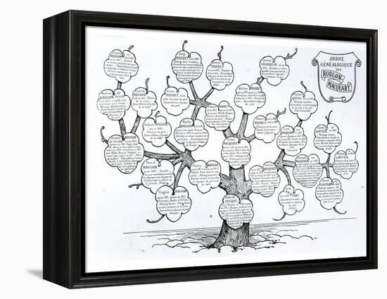 Genealogical Tree of the Rougon-Macquart Family-French School-Framed Premier Image Canvas