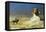 General Bonaparte in Egypt-Jean Leon Gerome-Framed Premier Image Canvas