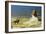 General Bonaparte in Egypt-Jean Leon Gerome-Framed Giclee Print