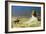 General Bonaparte in Egypt-Jean Leon Gerome-Framed Giclee Print