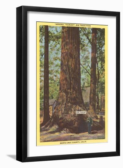 General Fremont, Big Tree, Santa Cruz, California-null-Framed Art Print