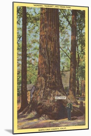 General Fremont, Big Tree, Santa Cruz, California-null-Mounted Art Print