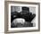 General Georg Patton's Pet Bull Terrier 'Willie'-null-Framed Photo