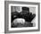 General Georg Patton's Pet Bull Terrier 'Willie'-null-Framed Photo