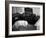 General Georg Patton's Pet Bull Terrier 'Willie'-null-Framed Photo