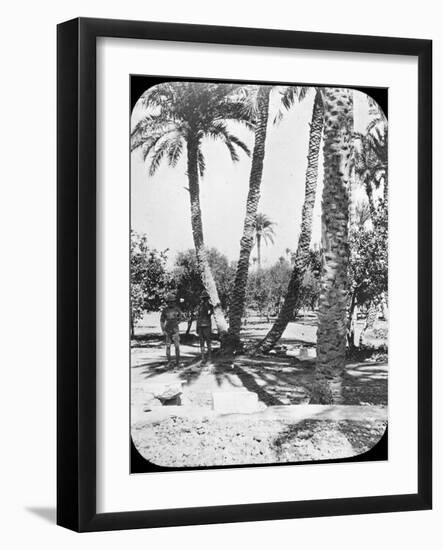 General Gordon's Garden, Khartoum, Sudan, C1890-Newton & Co-Framed Photographic Print