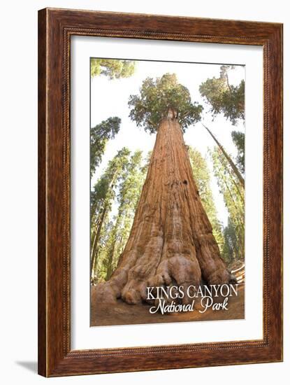 General Grant Tree - Kings Canyon National Park, California-Lantern Press-Framed Art Print