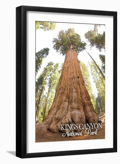 General Grant Tree - Kings Canyon National Park, California-Lantern Press-Framed Art Print