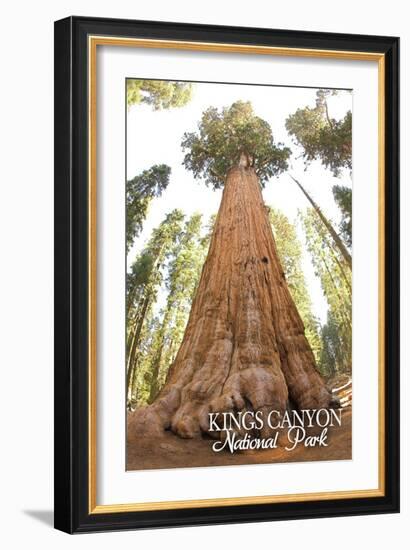 General Grant Tree - Kings Canyon National Park, California-Lantern Press-Framed Art Print