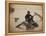 General H. Haupt, c.1862-Andrew J^ Johnson-Framed Stretched Canvas