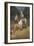 General Lee on His Famous Charger, "Traveler"-Howard Pyle-Framed Giclee Print