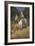 General Lee on His Famous Charger, "Traveler"-Howard Pyle-Framed Giclee Print