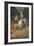 General Lee on His Famous Charger, "Traveler"-Howard Pyle-Framed Giclee Print