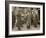 General Luigi Cadorna, Italian CINC, and General Joseph Joffre, French CINC, Calais, Mar 1916-null-Framed Photographic Print